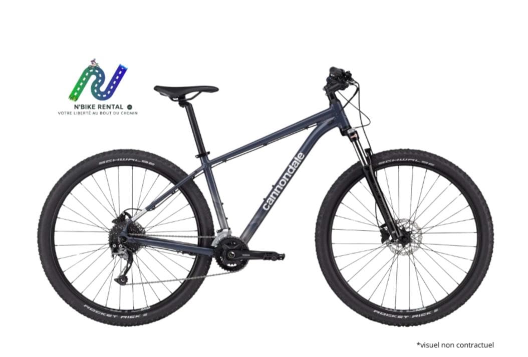VTT Cannondale 29 pouces - 1m60 à 1m72